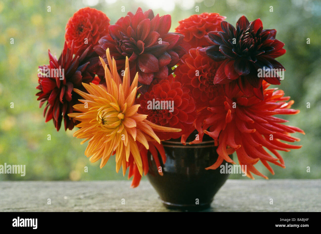 Blumenstrauß in der Blumenvase Stockfoto