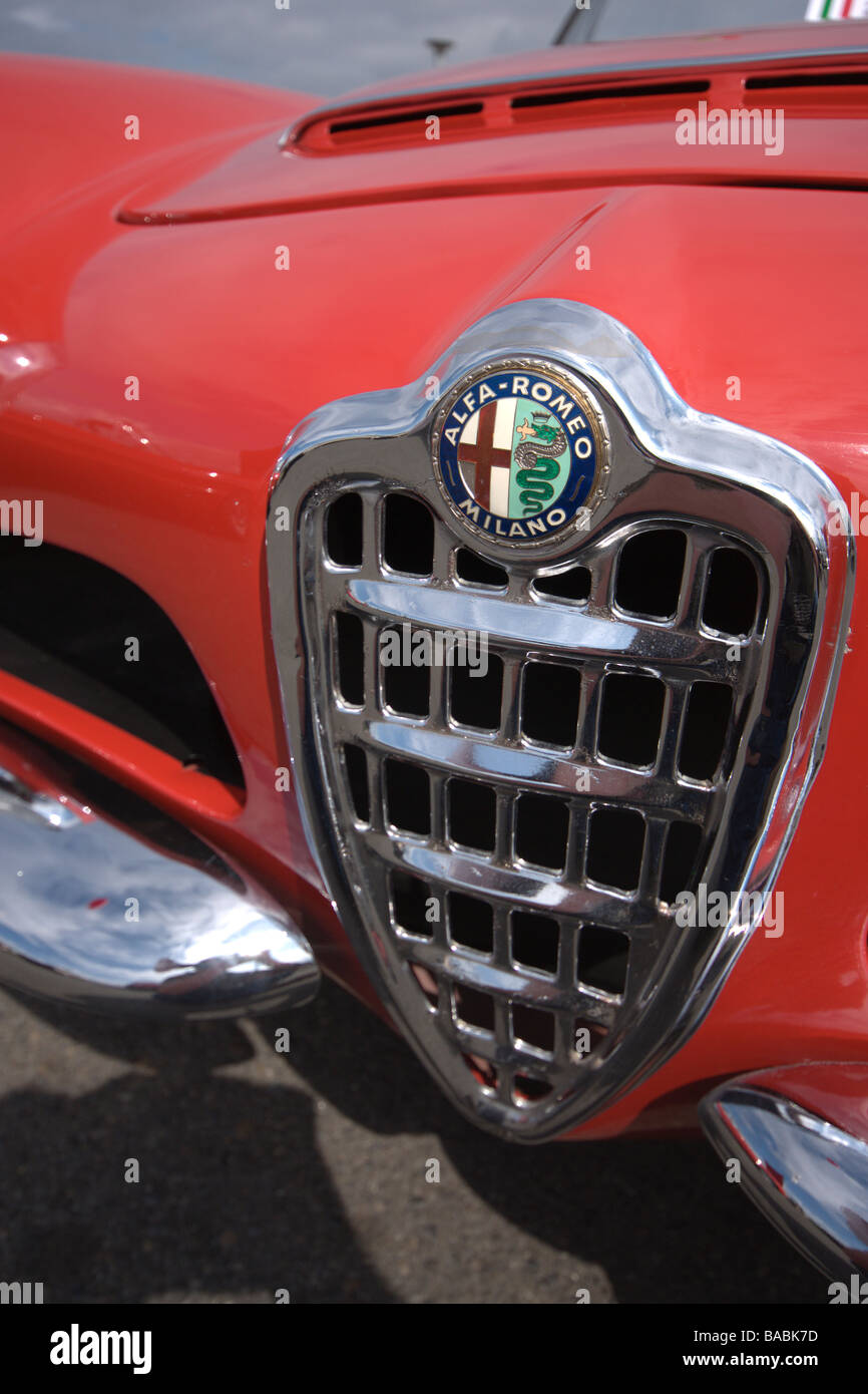 Klassische Alfa GTV Grill und Abzeichen Stockfoto