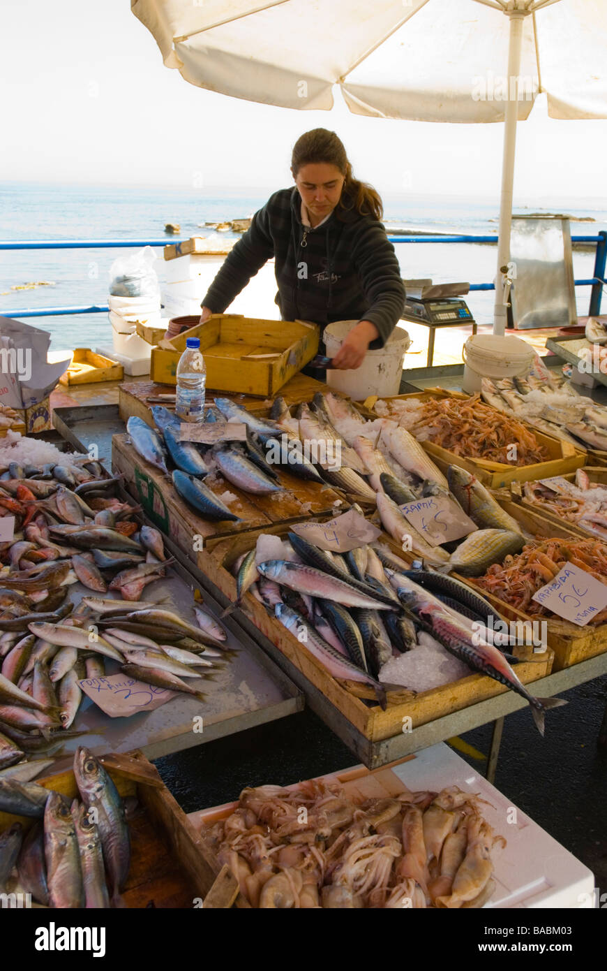 Fischen Sie am Wochenmarkt in Chania Kreta Griechenland Europa Stockfoto