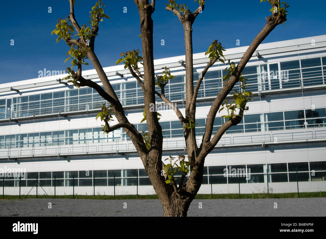 Qimonda-Werk in Vila Conde, Portugal Stockfoto