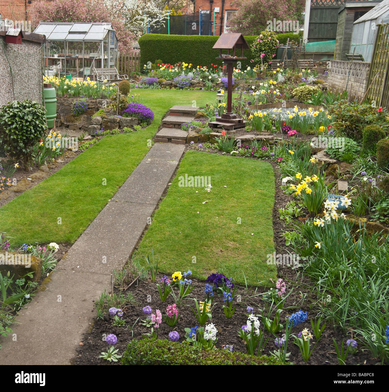 Kleiner Garten im Frühjahr April Yorkshire UK Doppelhaushälfte Stockfoto