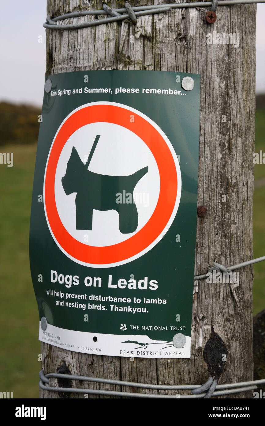 Ein "Halten Sie Hunde auf Lead" Warnzeichen in der englischen Landschaft. Stockfoto
