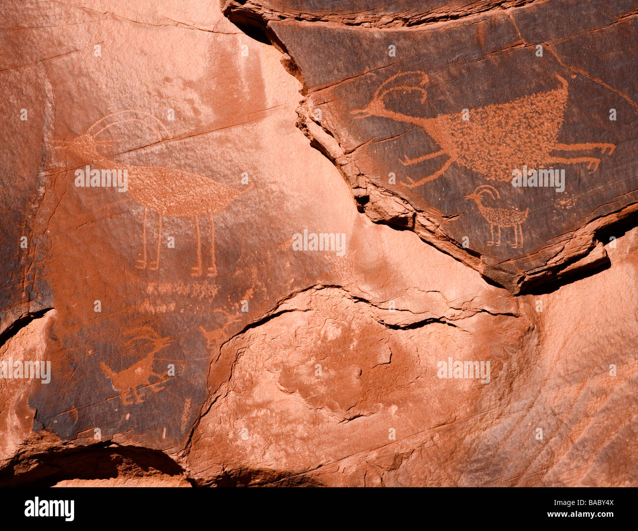 Petroglyphen Felsmalereien im Monument Valley Navajo Tribal Park, Arizona, USA Stockfoto