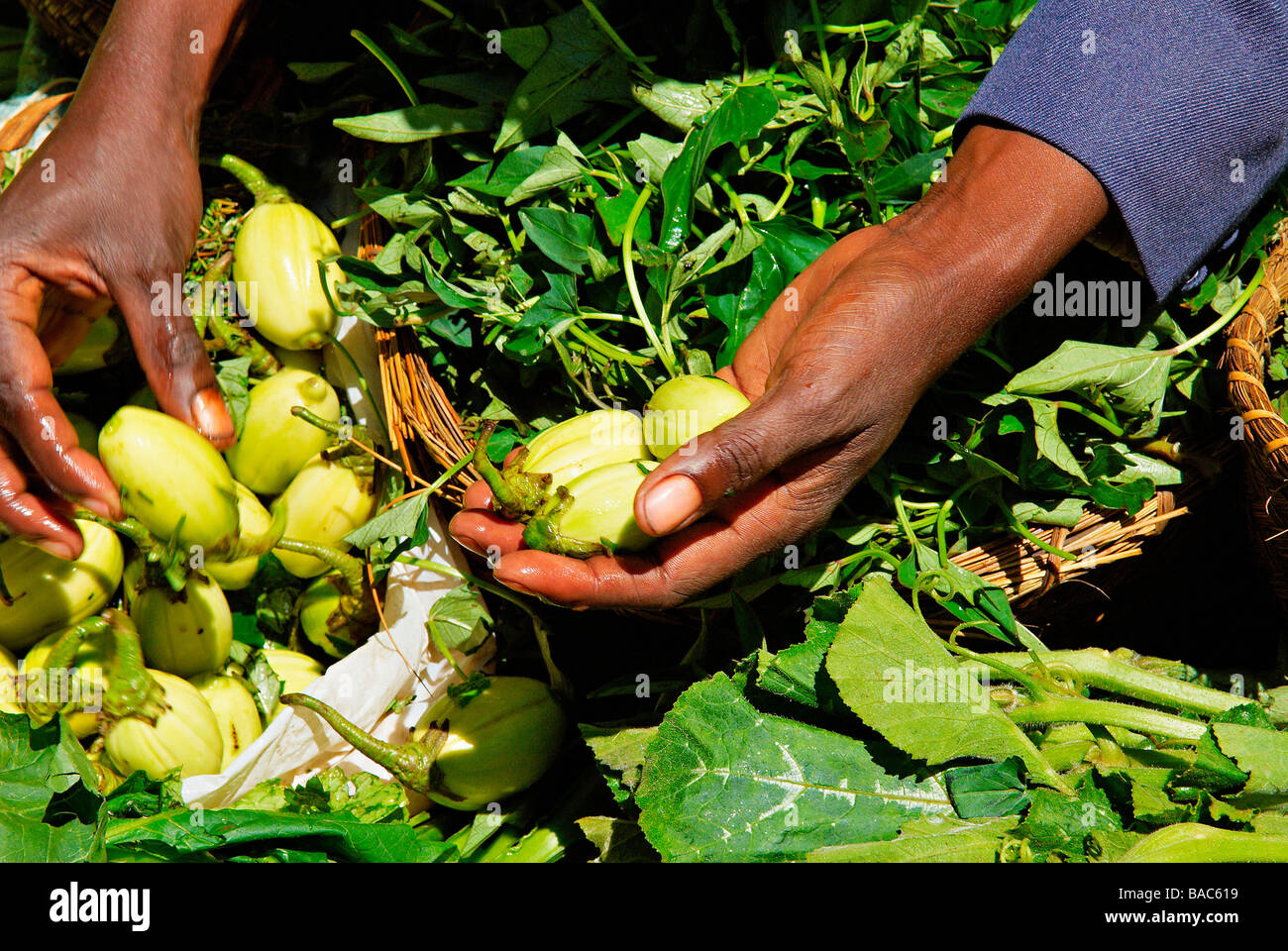 Madagaskar, Analamanga Region, Antananarivo (Tananarive), Low City, Pavillon Markt Stockfoto