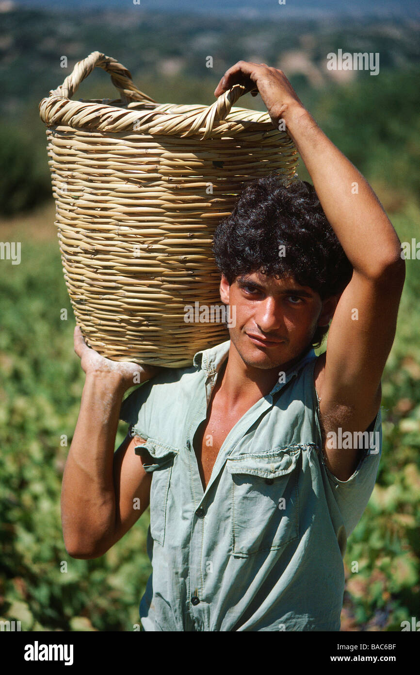 Zypern, Pafos, Weinlese Stockfoto