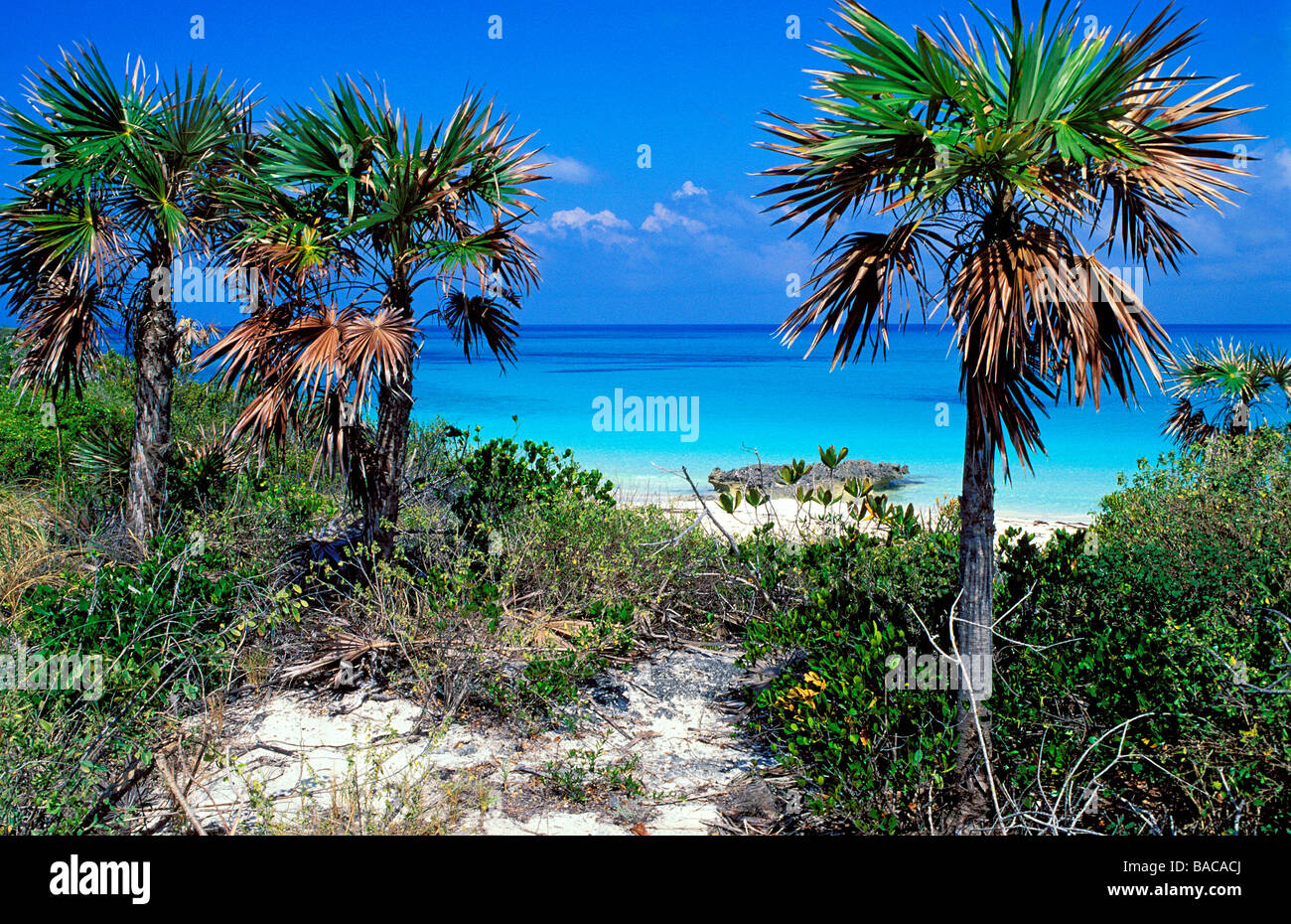 Kuba, Provinz Sancti Spiritus, Cayo Coco, Cayo Guillermo Strand Stockfoto