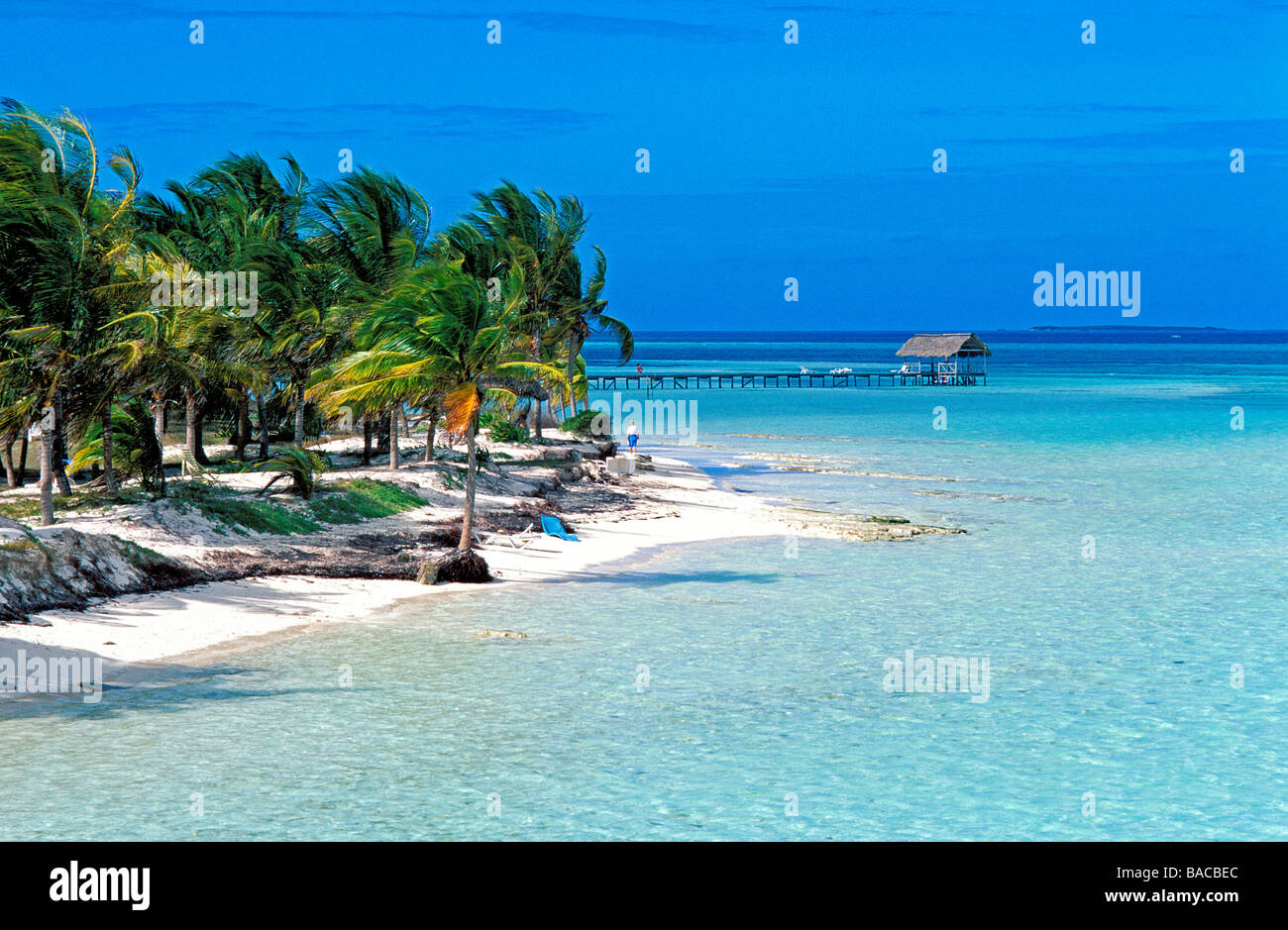 Kuba, Provinz Sancti Spiritus, Cayo Coco, Cayo Guillermo Strand Stockfoto