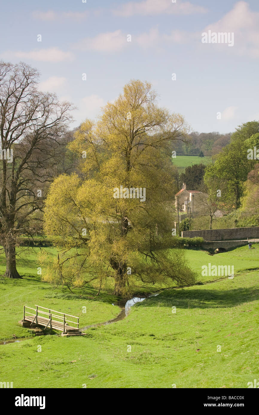 Pastorale englische Landschaft Stockfoto
