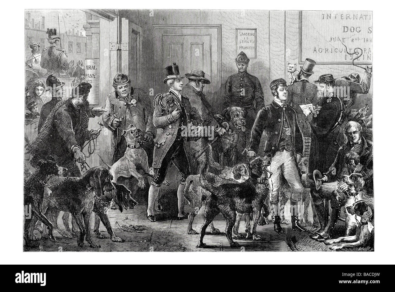 internationale Hundeausstellung in Islington Ankunft der Hunde 1865 Stockfoto