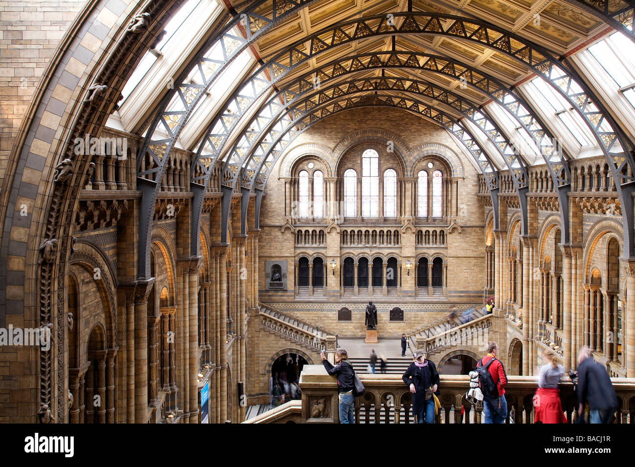 Vereinigtes Königreich, London, South Kensington, Natural History Museum eröffnet 1881, Central Hall Stockfoto
