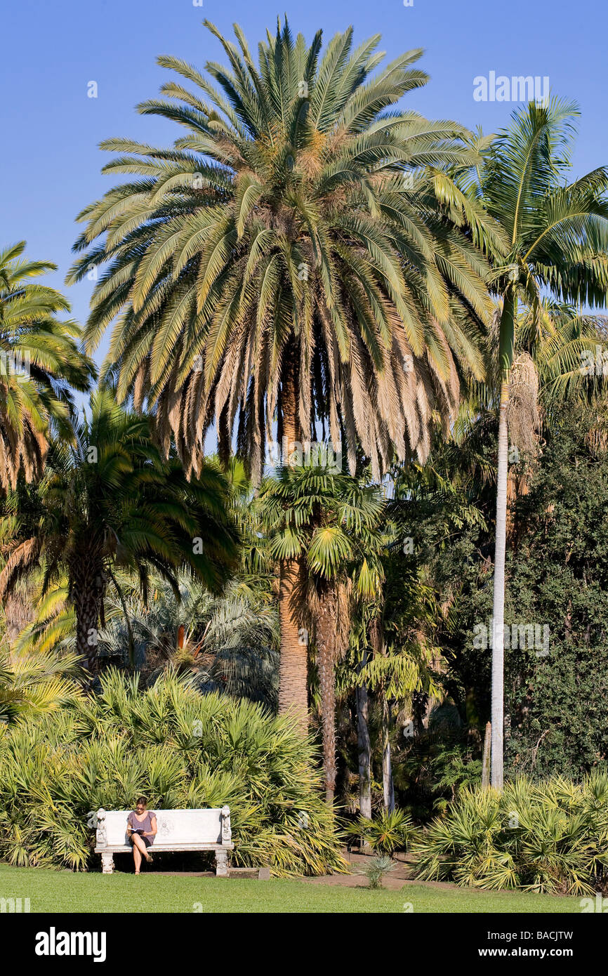 USA, California, San Gabriel Valley, San Marino, Huntington Bibliothek Kunst Sammlung und Botanischer Garten Stockfoto
