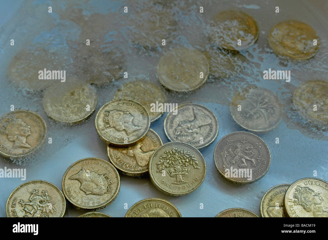 1 Pfund Sterling im Eis beginnenden Tauwetter Münzen Stockfoto