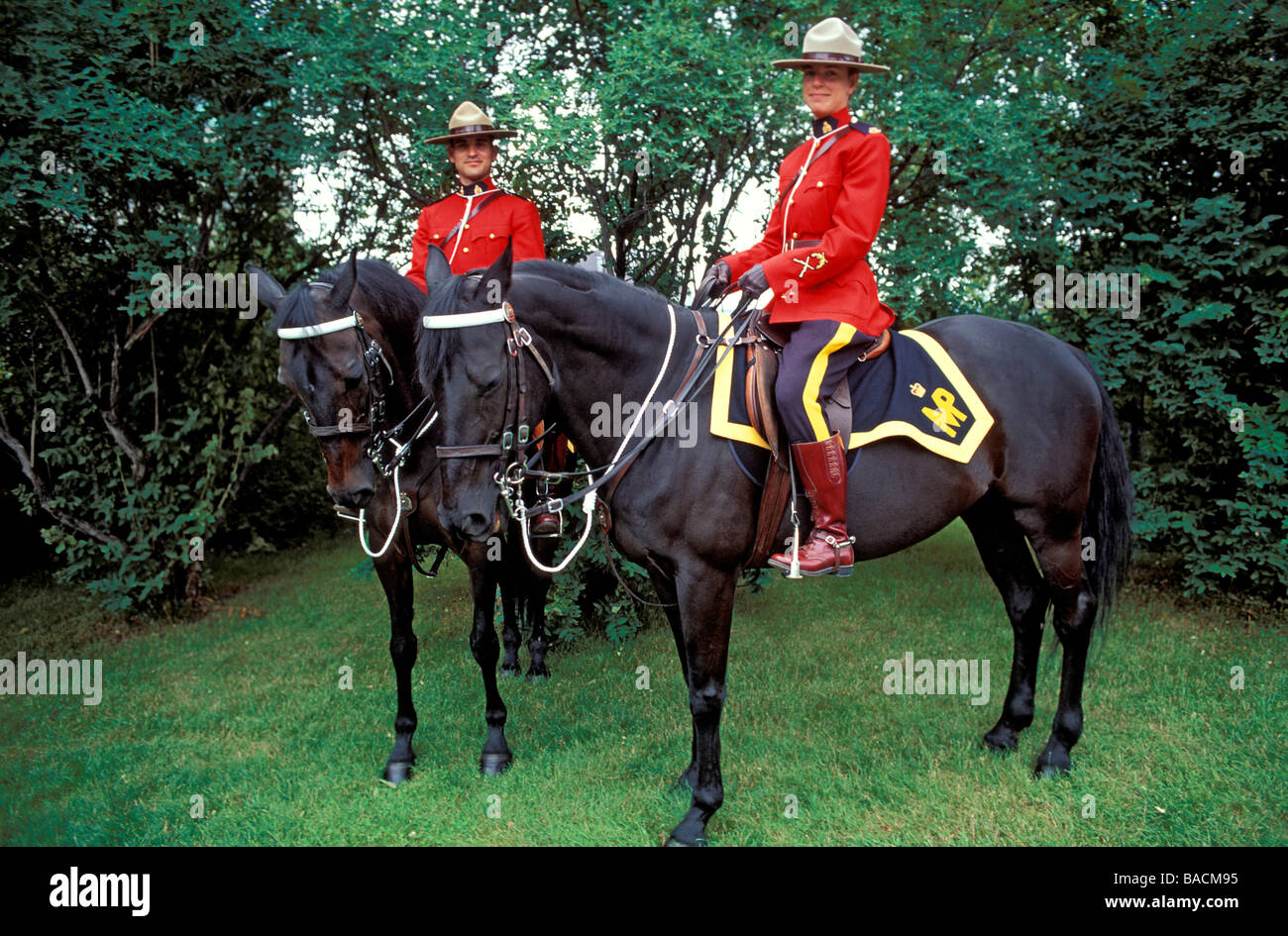 Kanada Provinz Ontario Ottawa Berittene Polizei Stockfotografie Alamy