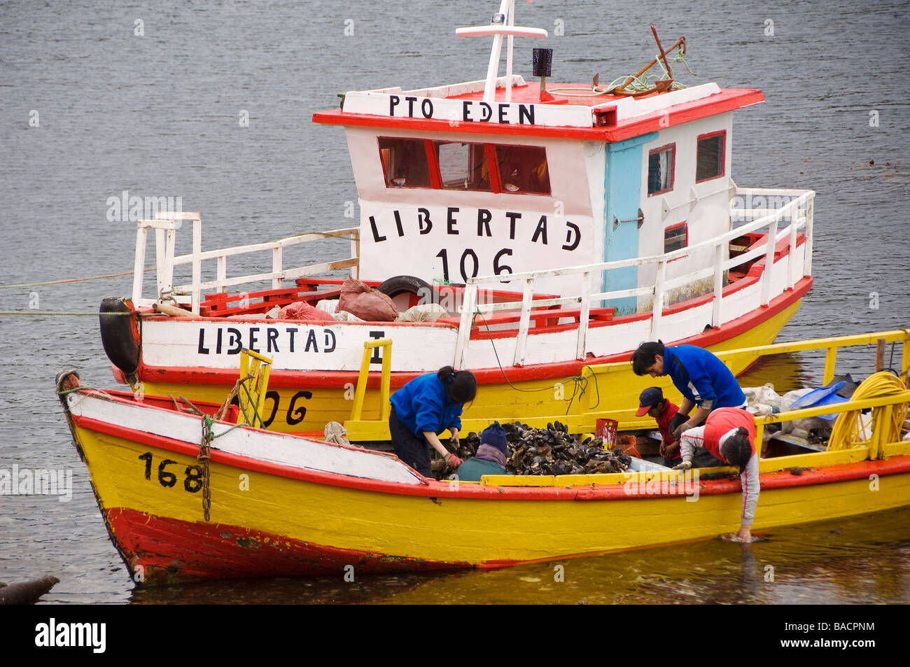 Chile, Patagonien, Magellanregion, Wellington-Insel, O' Higgins National Park, Puerto Eden, kleines Fischerdorf nur Stockfoto