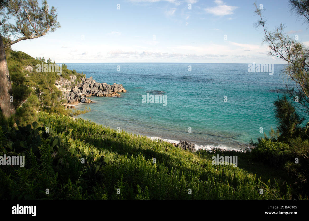 Flut an Horseshoe Bay, Southampton Parish, Bermuda Stockfoto