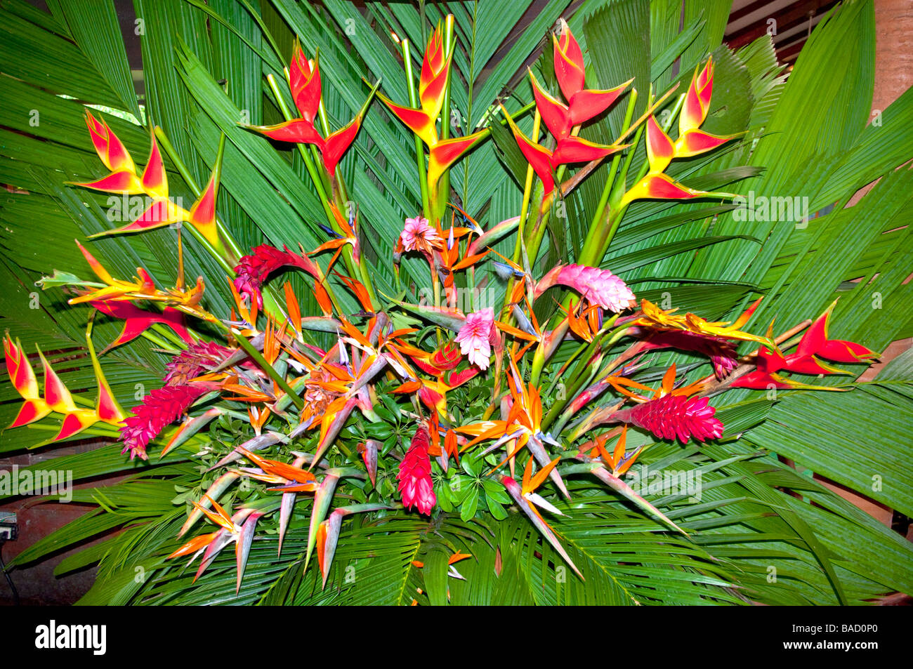 Tropische Blumen-Arrangement im Speisesaal von der Pachira Lodge Toruguero Nationalpark Costa Rica Mittelamerika Stockfoto