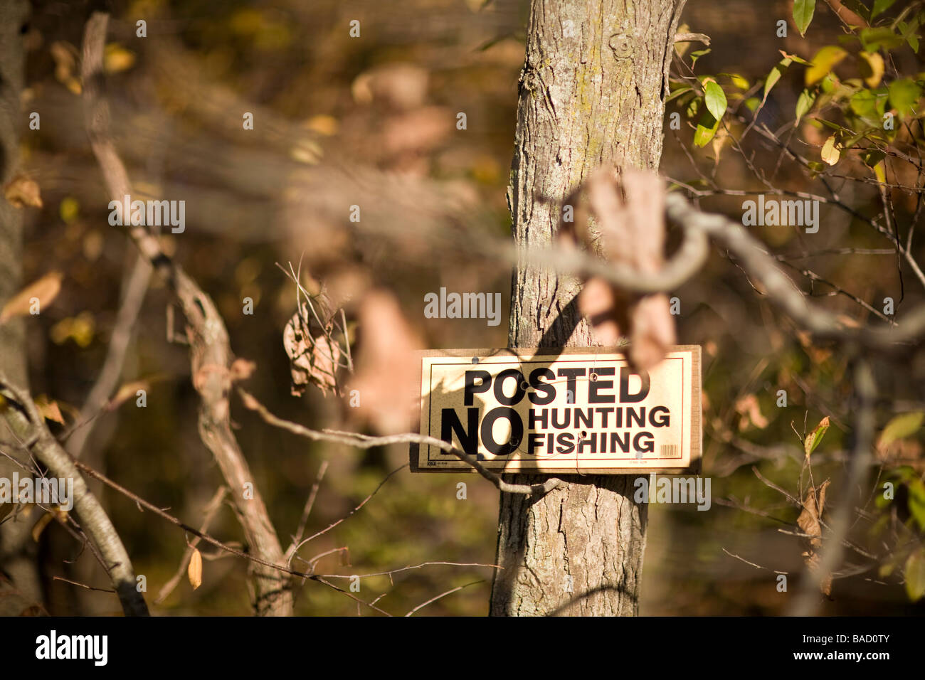 Keine Jagd oder Fischerei Zeichen im Wald Stockfoto