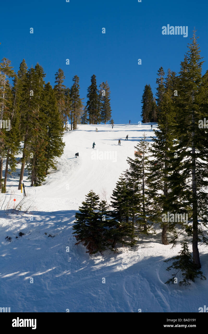 Olympic Valley, Kalifornien; Skifahrer Stockfoto