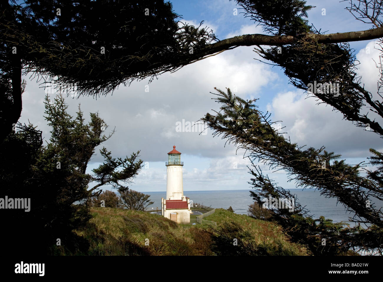 North Head-Leuchtturm - Cape Enttäuschung State Park, Washington Stockfoto