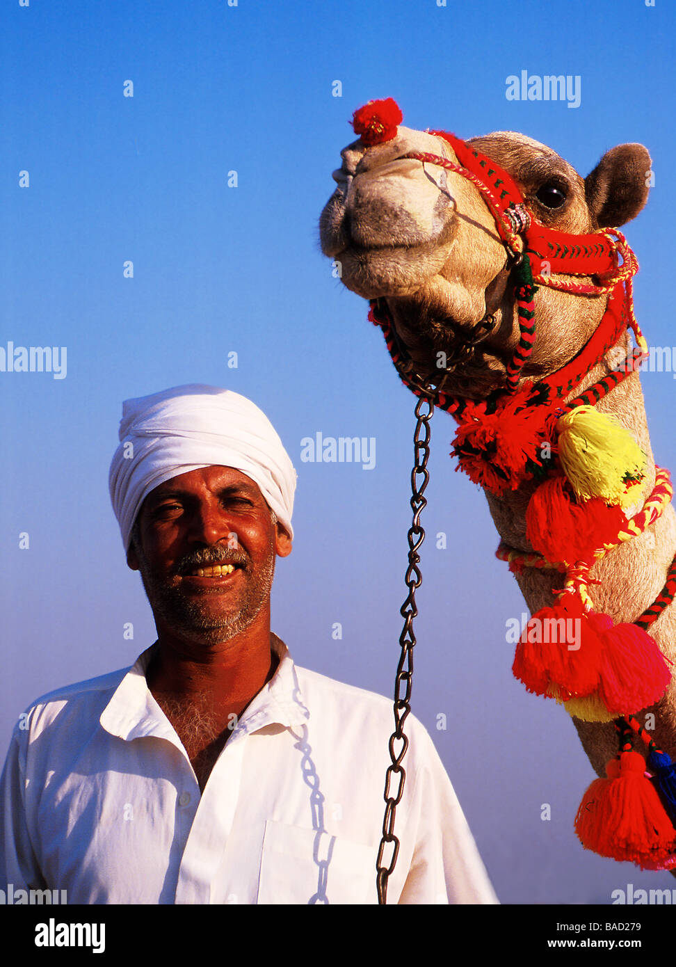 Kamel und Fahrer bei den Pyramiden, Kairo, Ägypten Stockfoto