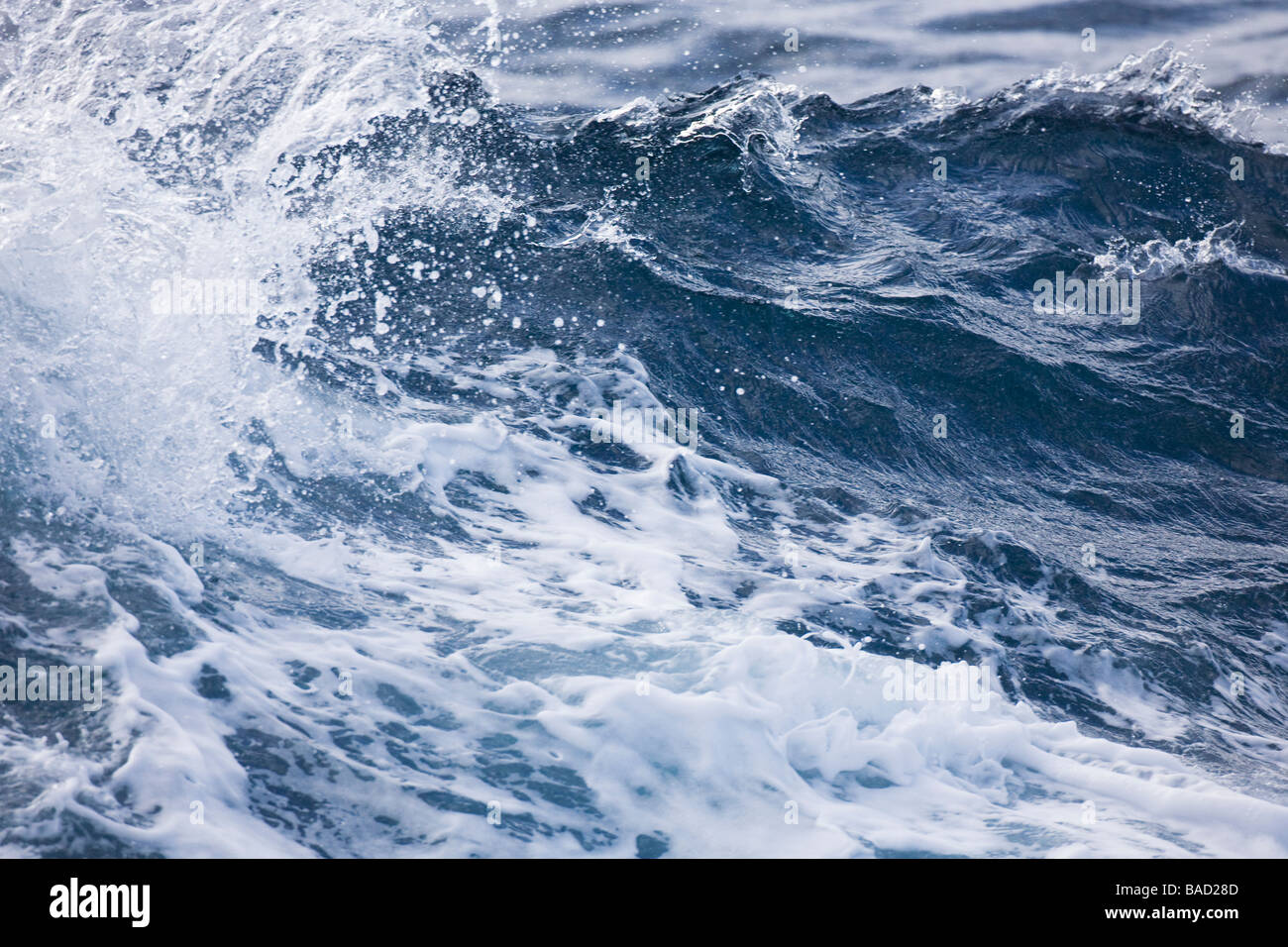 Große Wellen und Gischt in stürmischen Gewässern der südlichen Ozean Antarktis Stockfoto