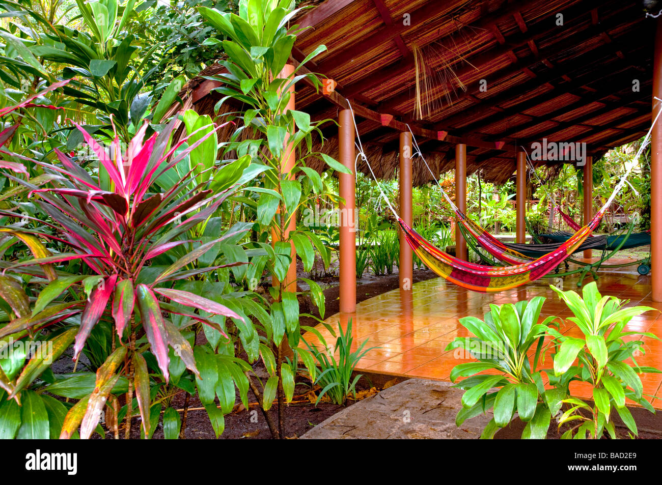 Pachira Lodge Einrichtungen in Tortuguero Nationalpark Costa Rica Mittelamerika Stockfoto