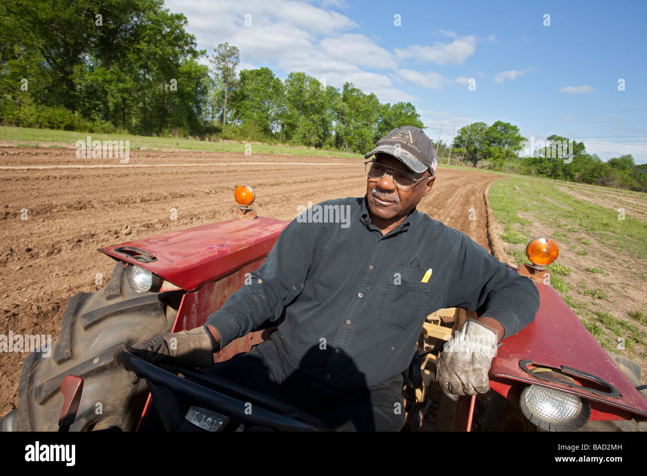 Afrikanische amerikanische Bauern Genossenschaft Stockfoto
