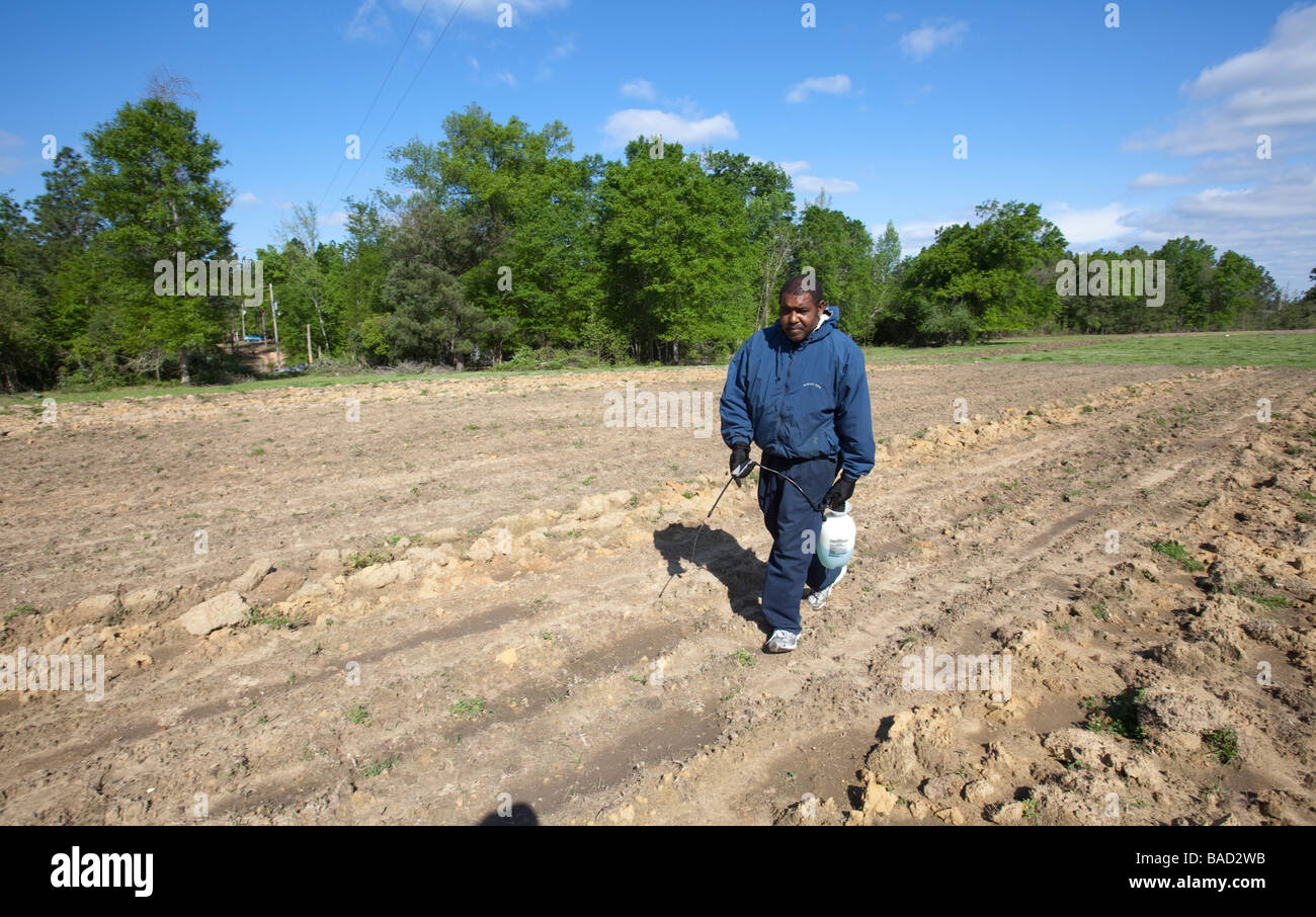 Afrikanische amerikanische Bauern Genossenschaft Stockfoto