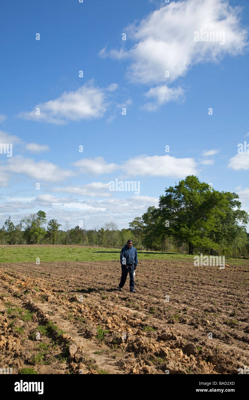 Afrikanische amerikanische Bauern Genossenschaft Stockfoto