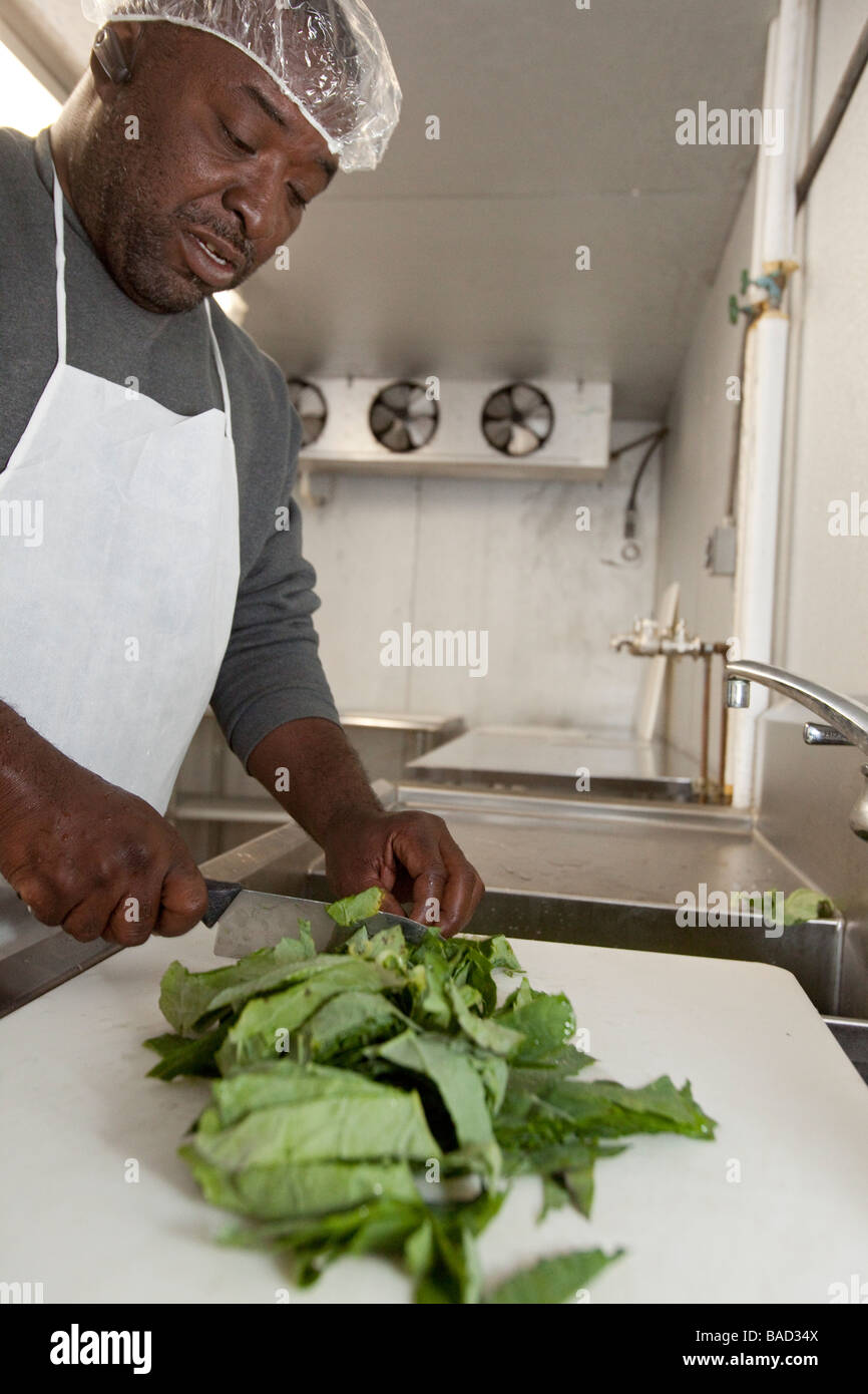 Afrikanische amerikanische Bauern Genossenschaft Stockfoto