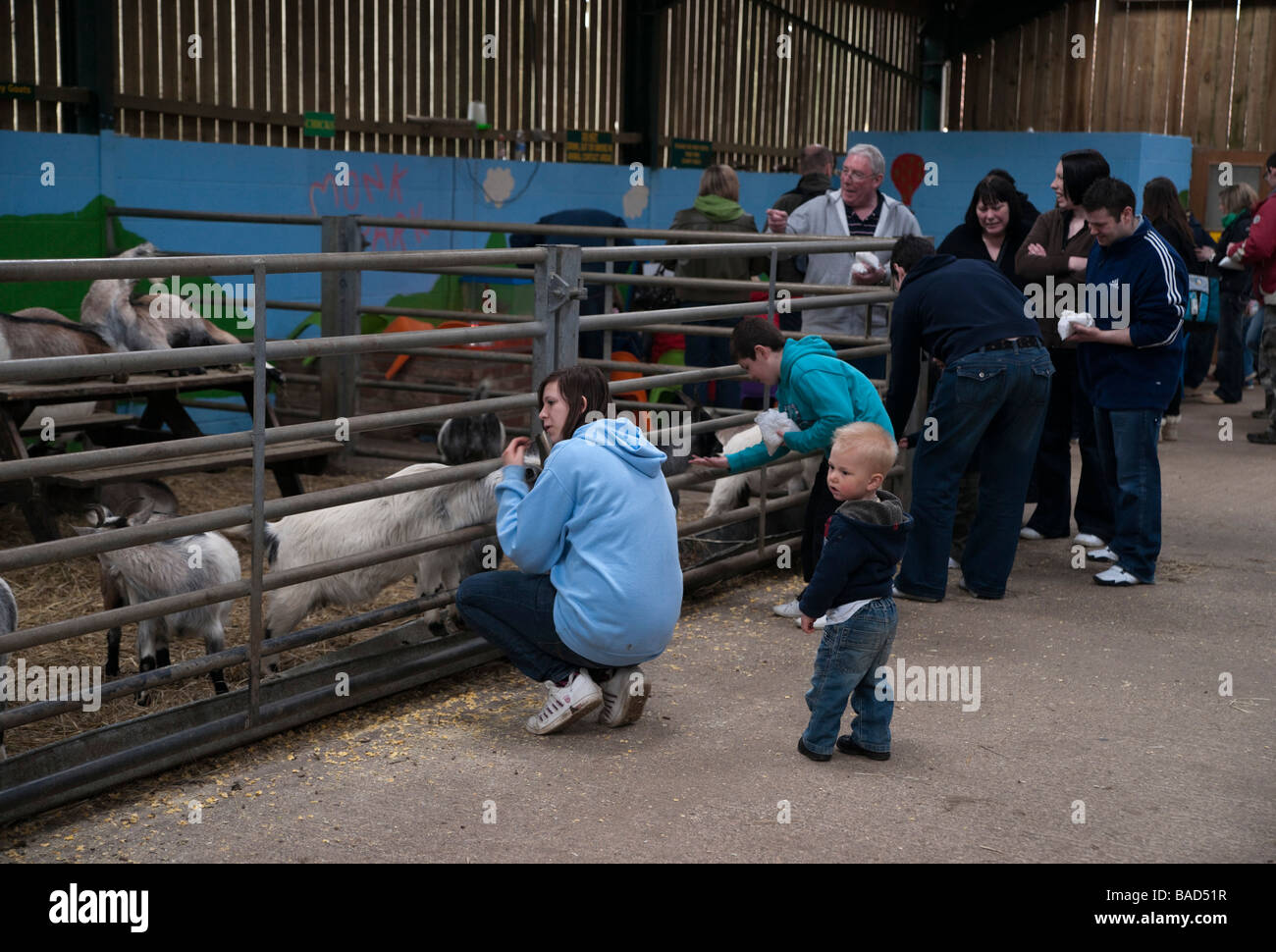 Mönch Park Farm Zoo Typ Attraktion in der Nähe von Thirsk Yorkshire füttern Ziegen Stockfoto
