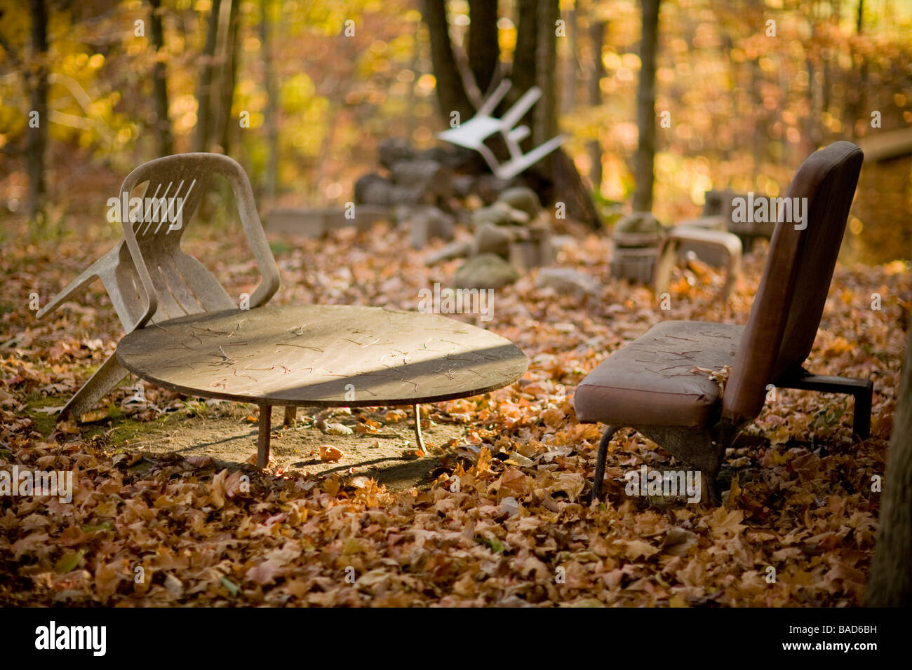 Verlassene Möbel im Wald Stockfoto