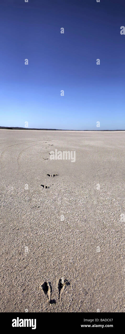 Strand-Fussspuren Stockfoto