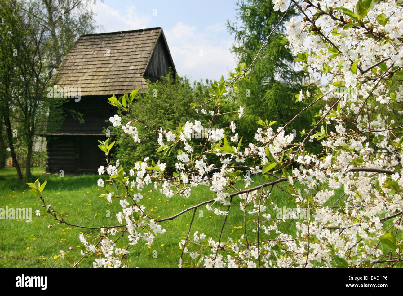 Frühling im Heritage Park. Stockfoto