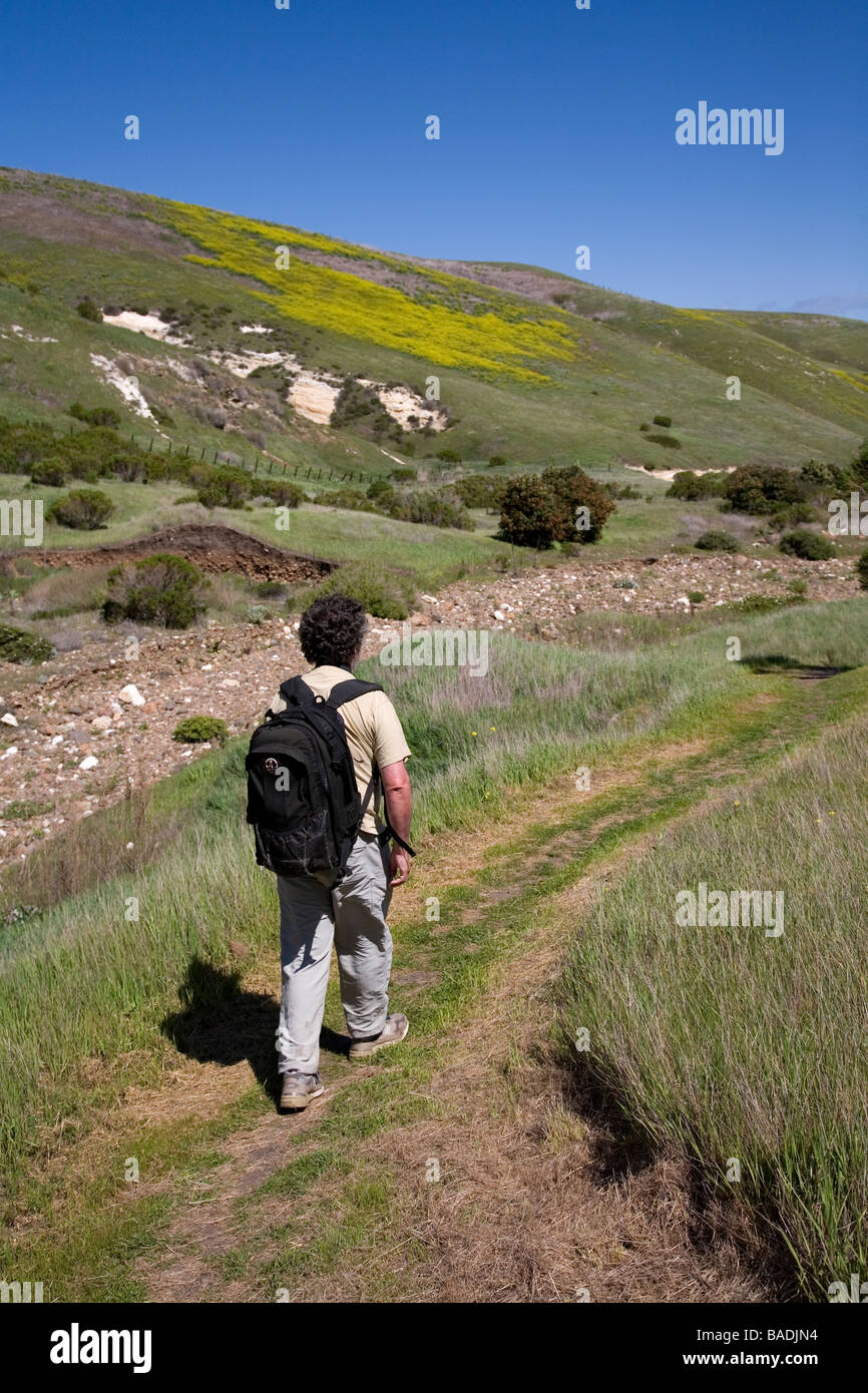 Wandern auf dem Scorpion Canyon Trail, Santa Cruz Island, Channel Islands Nationalpark, Kalifornien Stockfoto