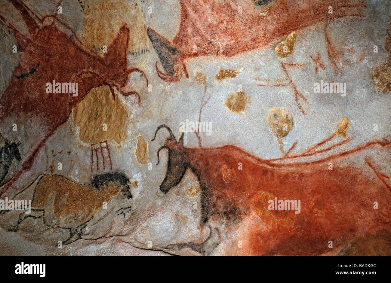 Frankreich, Dordogne, Perigord Noir, Vallee De La Vézère, Montignac Sur Vézère, Weltkulturerbe der UNESCO, Grotte de Stockfoto