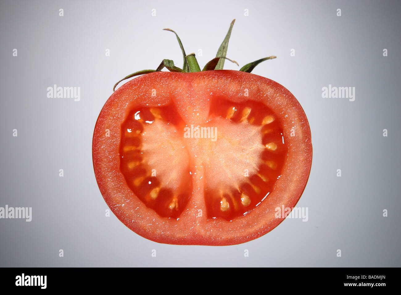 Tomaten-Konzept Stockfoto