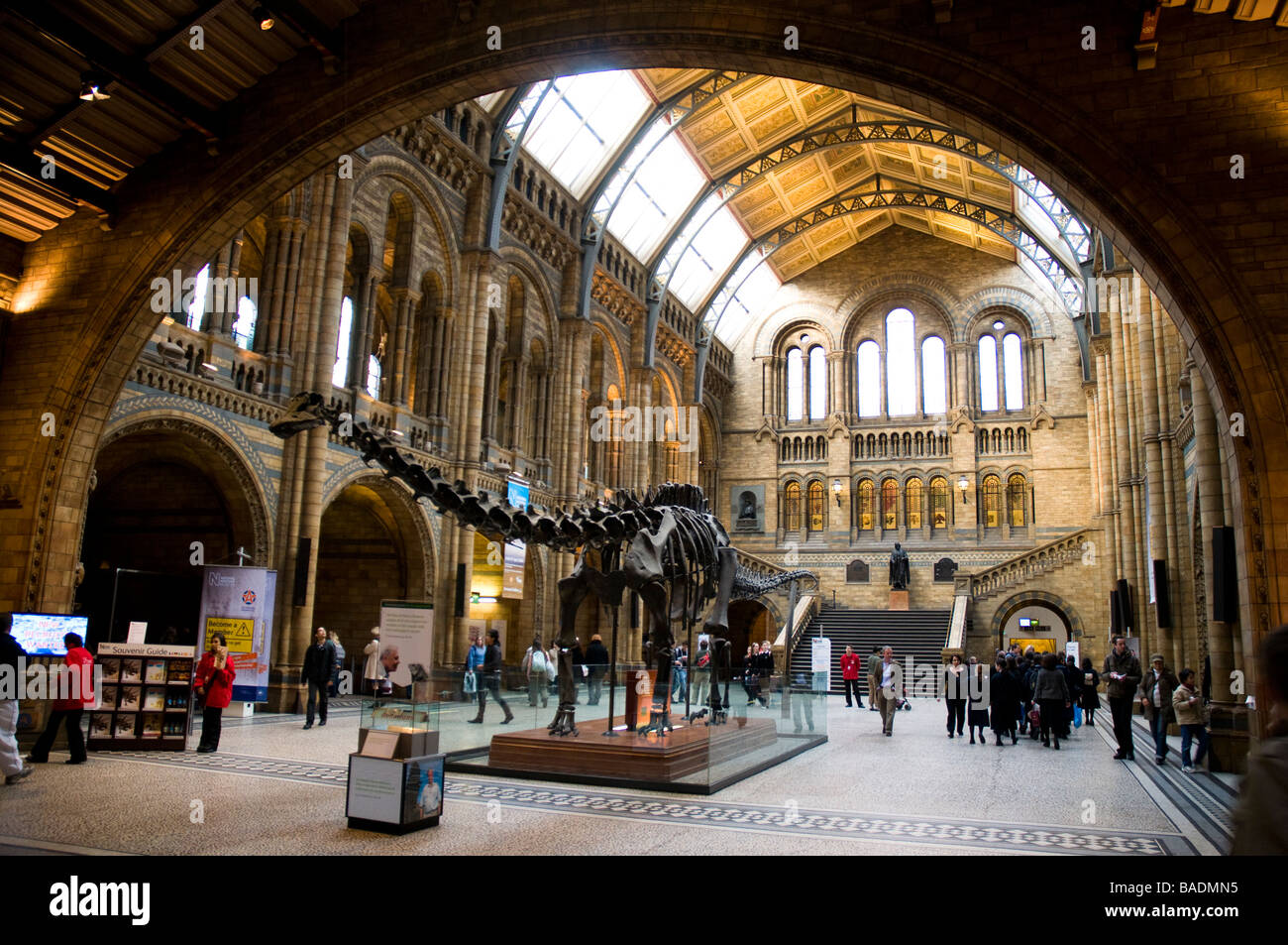 Natural History Museum Haupthalle Stockfoto
