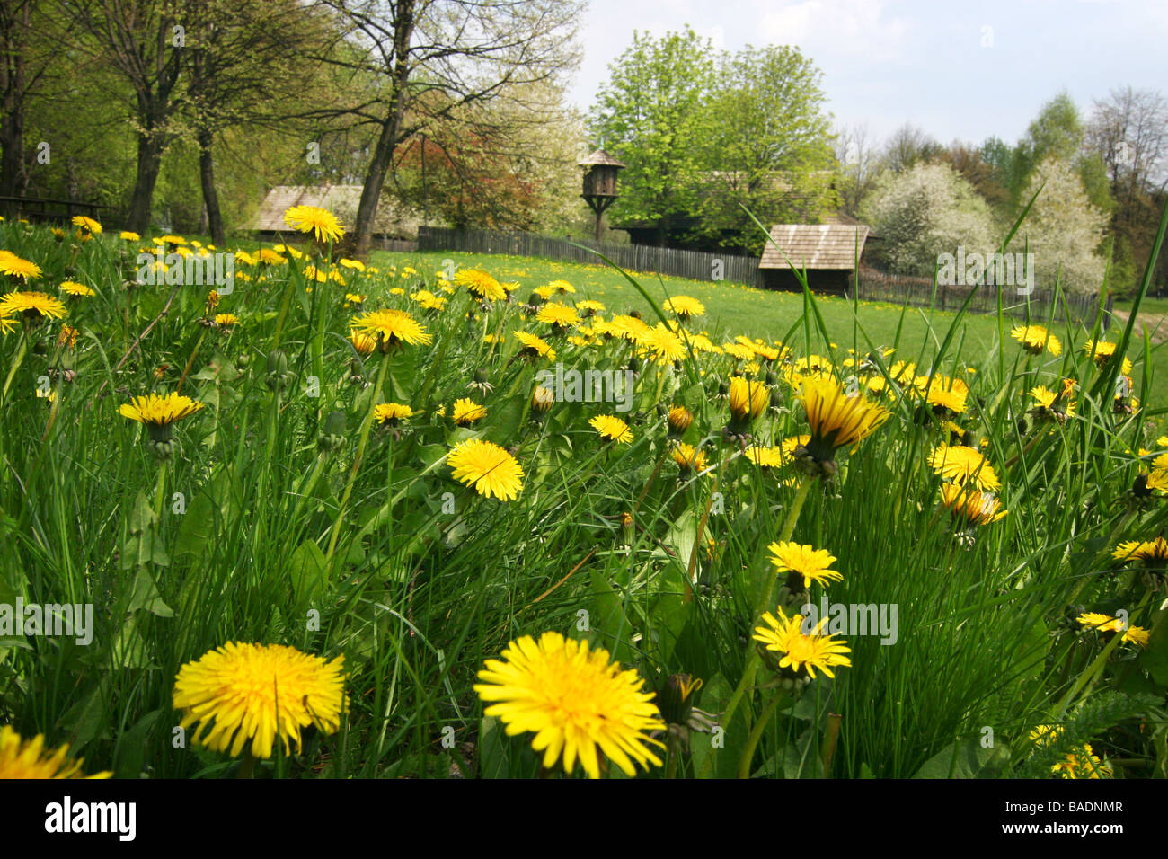 Frühling im Heritage Park. Stockfoto