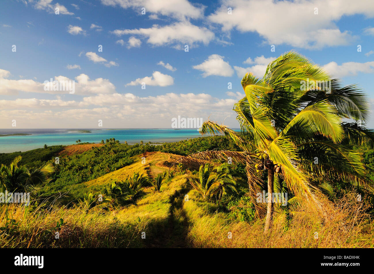 Aitutaki, Cook-Inseln Stockfoto