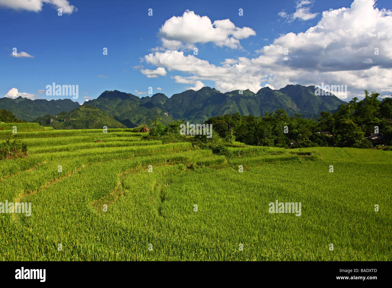 Schöne Landschaft mit grünen Bergen und Reis Fileds rund um Mai Chau Minderheit Dorf. Vietnam Stockfoto