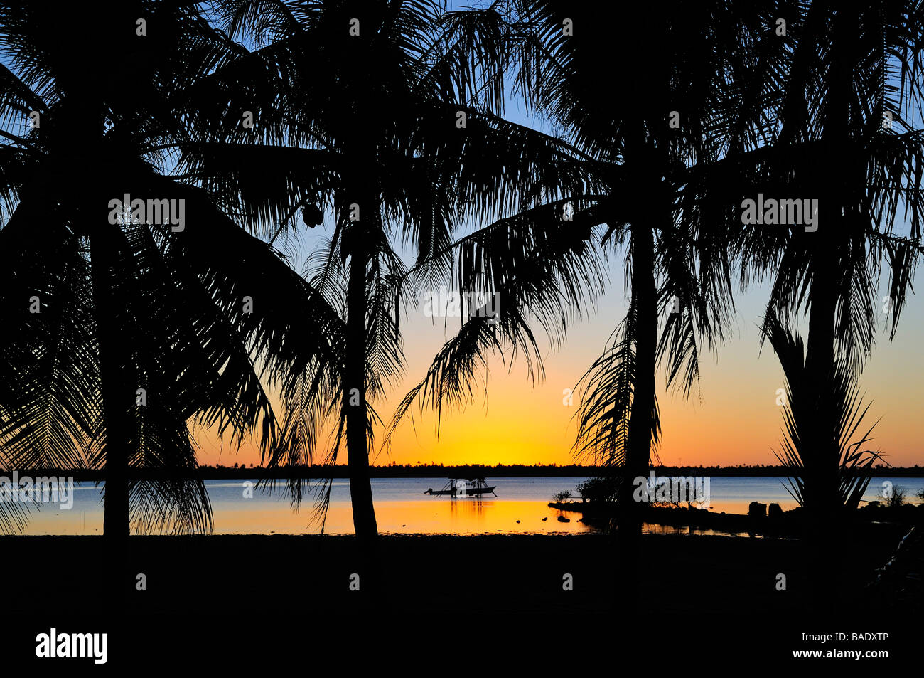 Sonnenuntergang über Palm Trees, Hochzeitsreise, Französisch-Polynesien Stockfoto