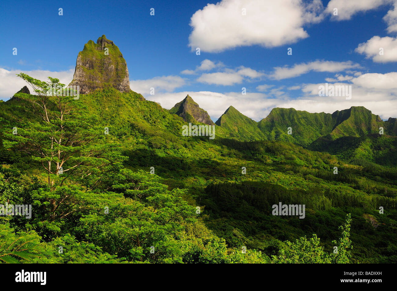 Berggipfel und Opunohu-Tal, Moorea, Französisch-Polynesien Stockfoto