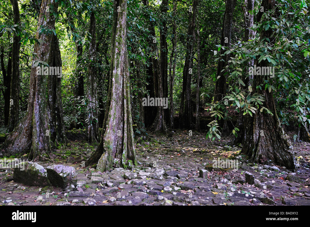 Marae Titiroa, Moorea, FranzösischPolynesien Stockfotografie Alamy