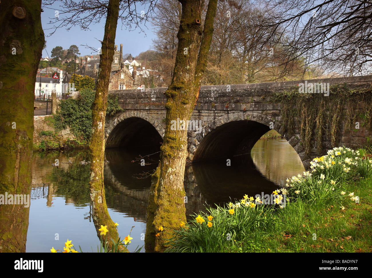 Fluß Tavy, Tavistock, Devon UK Stockfoto