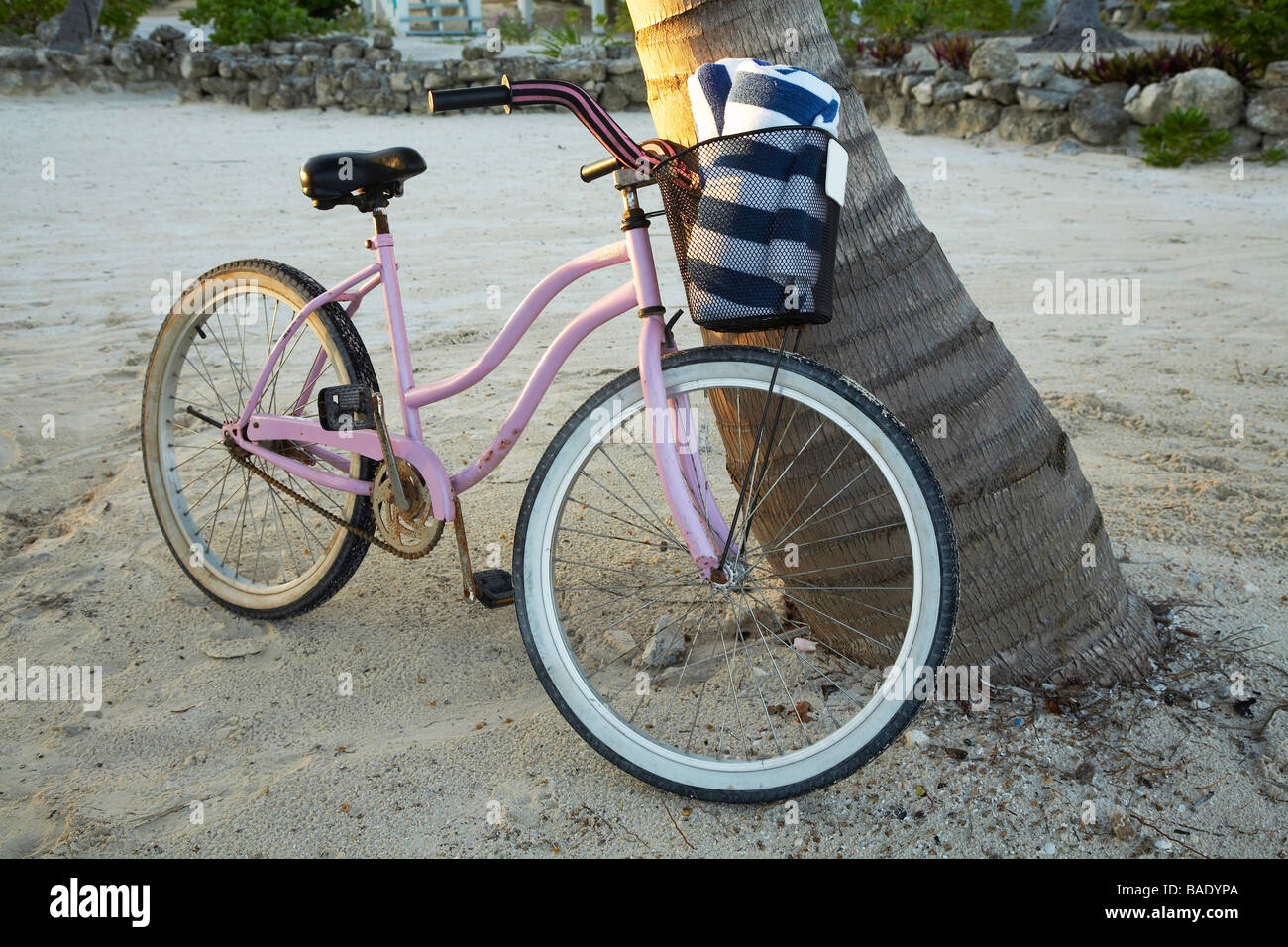 Fahrrad gegen Baum am Strand, Belize Stockfoto