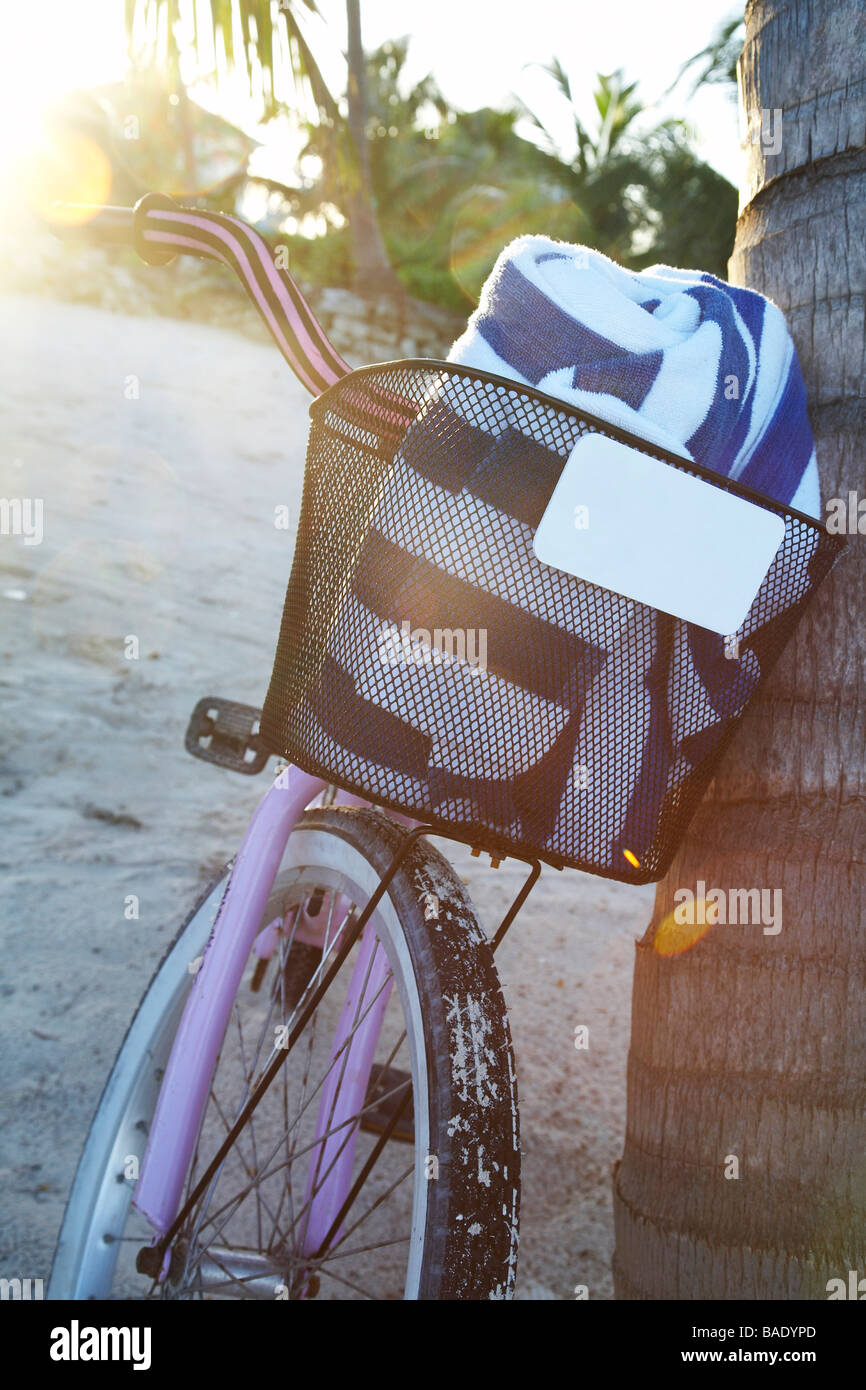Fahrrad gegen Baum am Strand, Belize Stockfoto