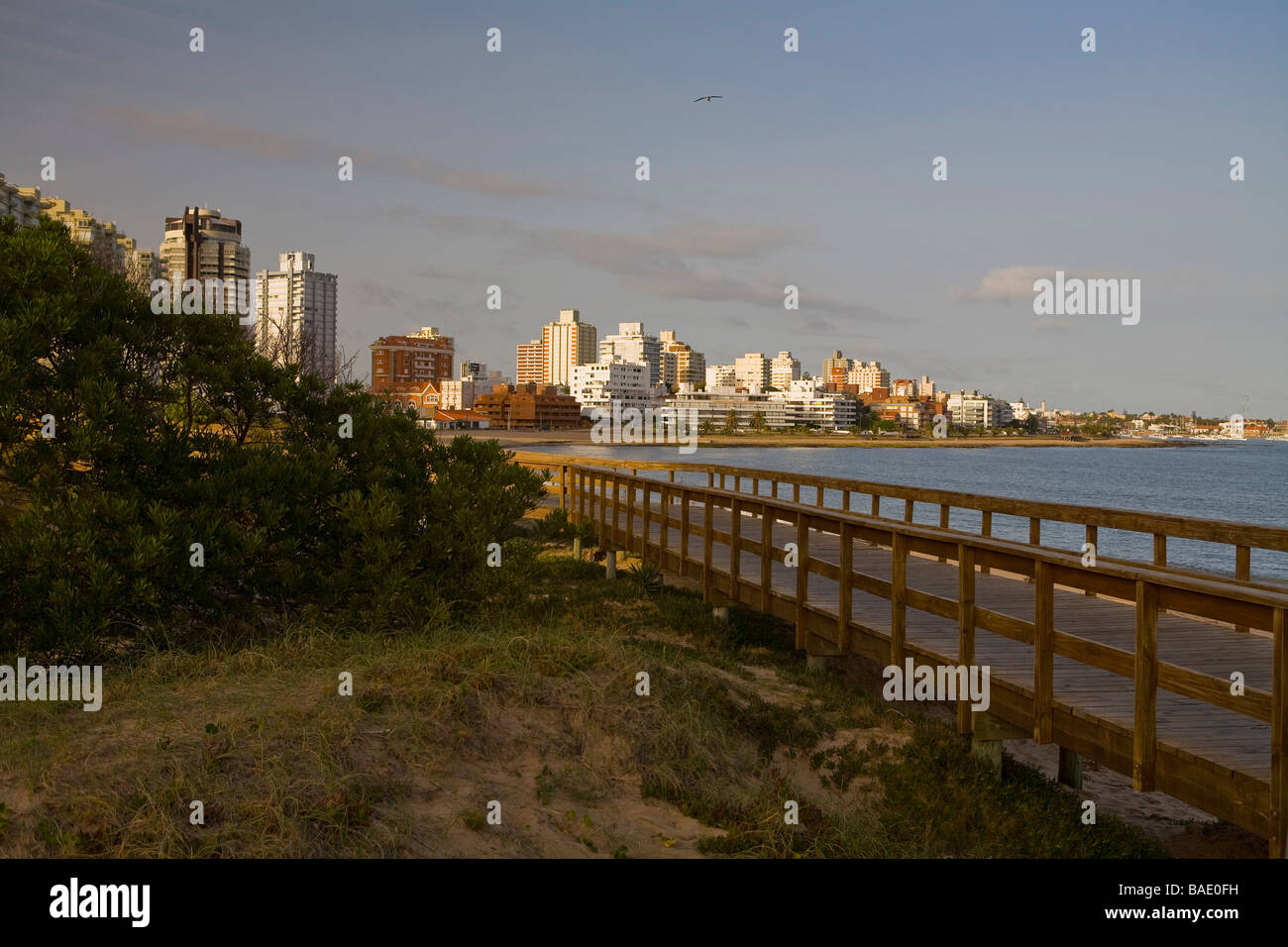 Promenade, Punta del Este, Uruguay Stockfoto