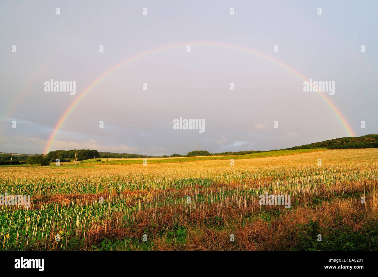 Regenbogen in der Nähe von Paimpont Wald, Paimpont, Concoret, Ille-et-Vilaine, Bretagne, Frankreich Stockfoto