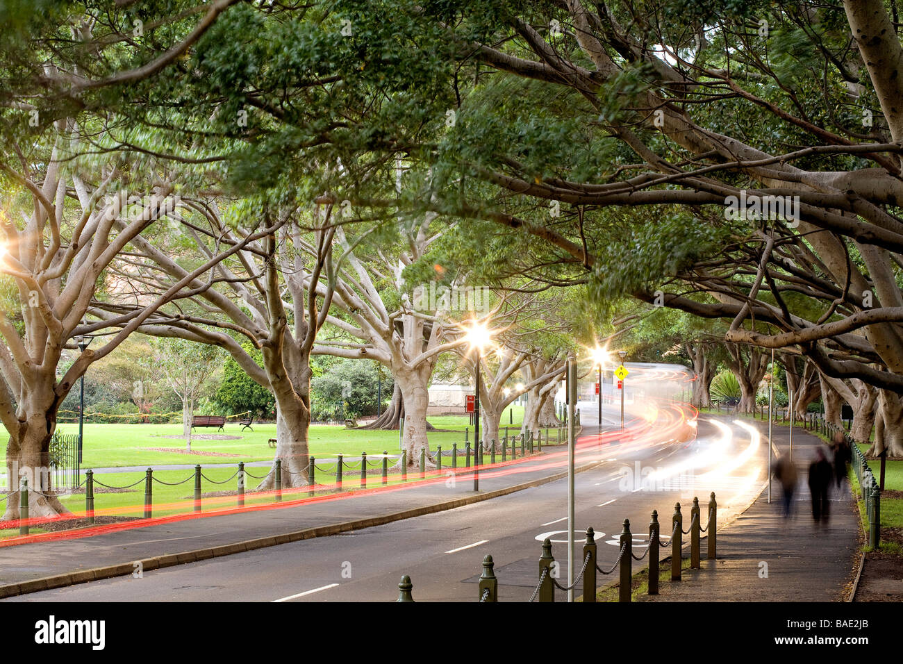 Australien, New South Wales, Sydney, die Domain Park, Kunstgalerie Road Stockfoto